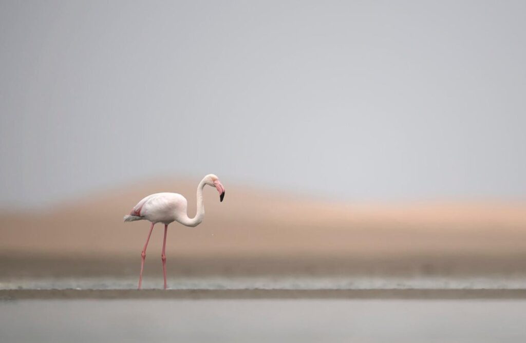 Swakopmund